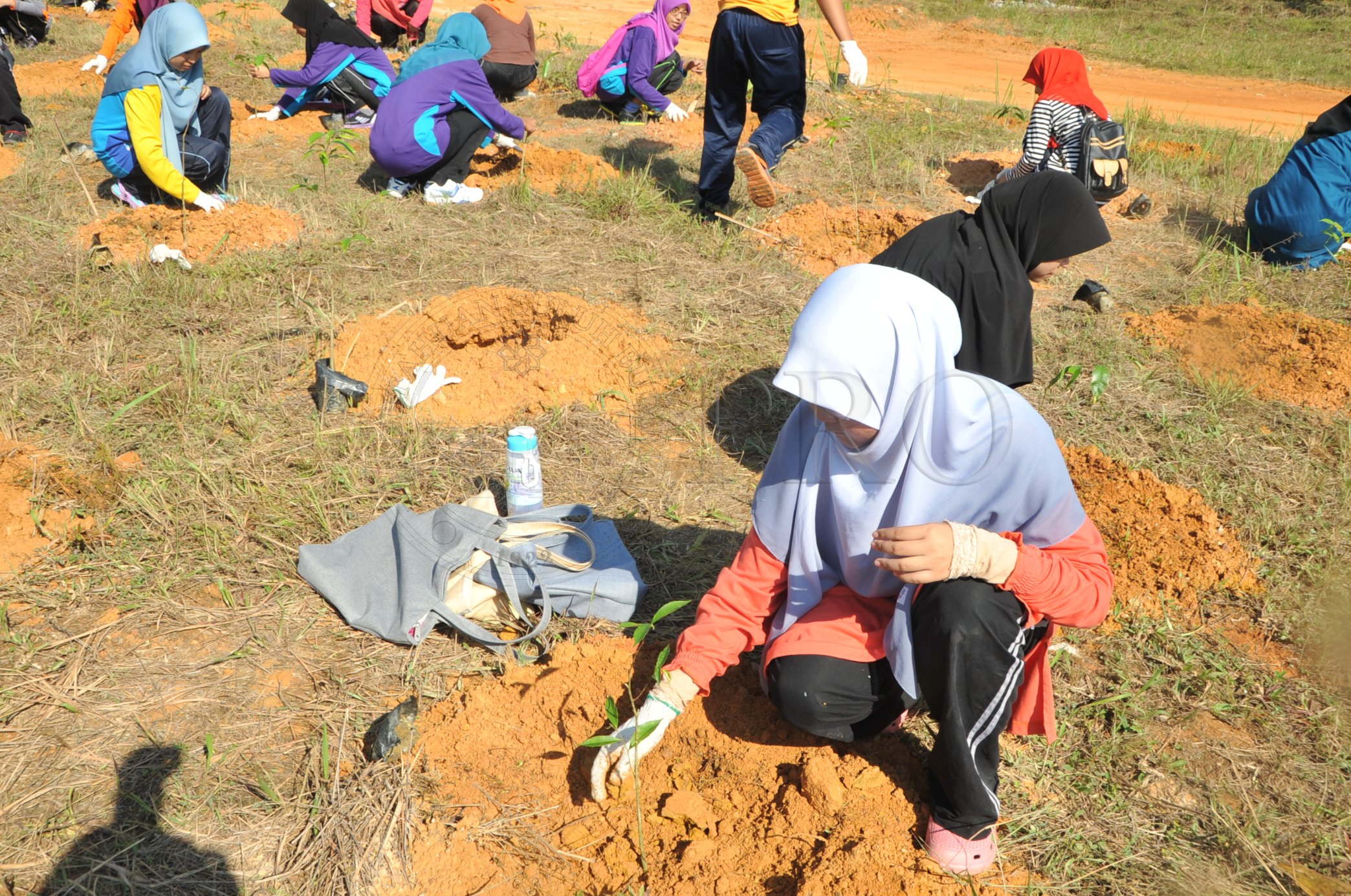 PRO 14 48 KARAS PRO 6703